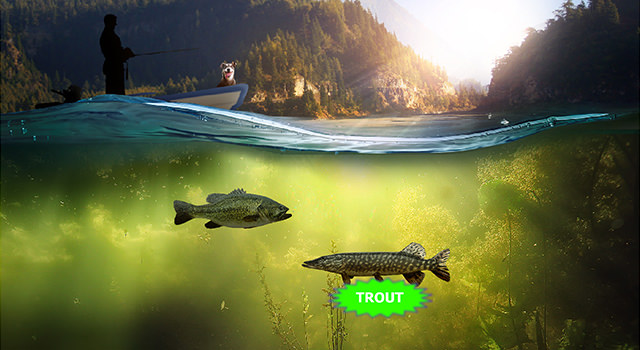 Scratch Game: Northern Fishing Image